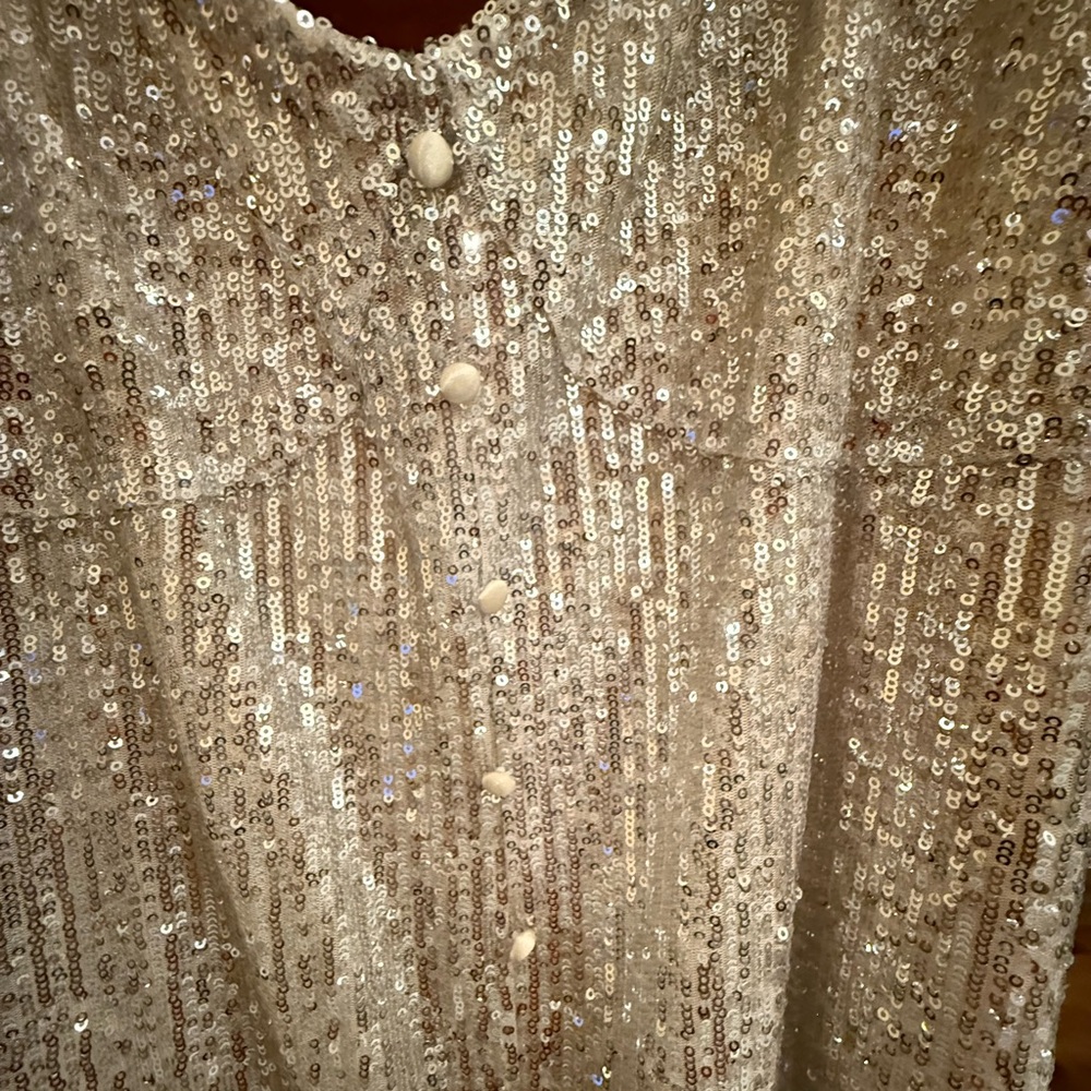 2026 PRICE DROP!! Zara Silver Sequin Maxi Dress - Picture 4 of 5